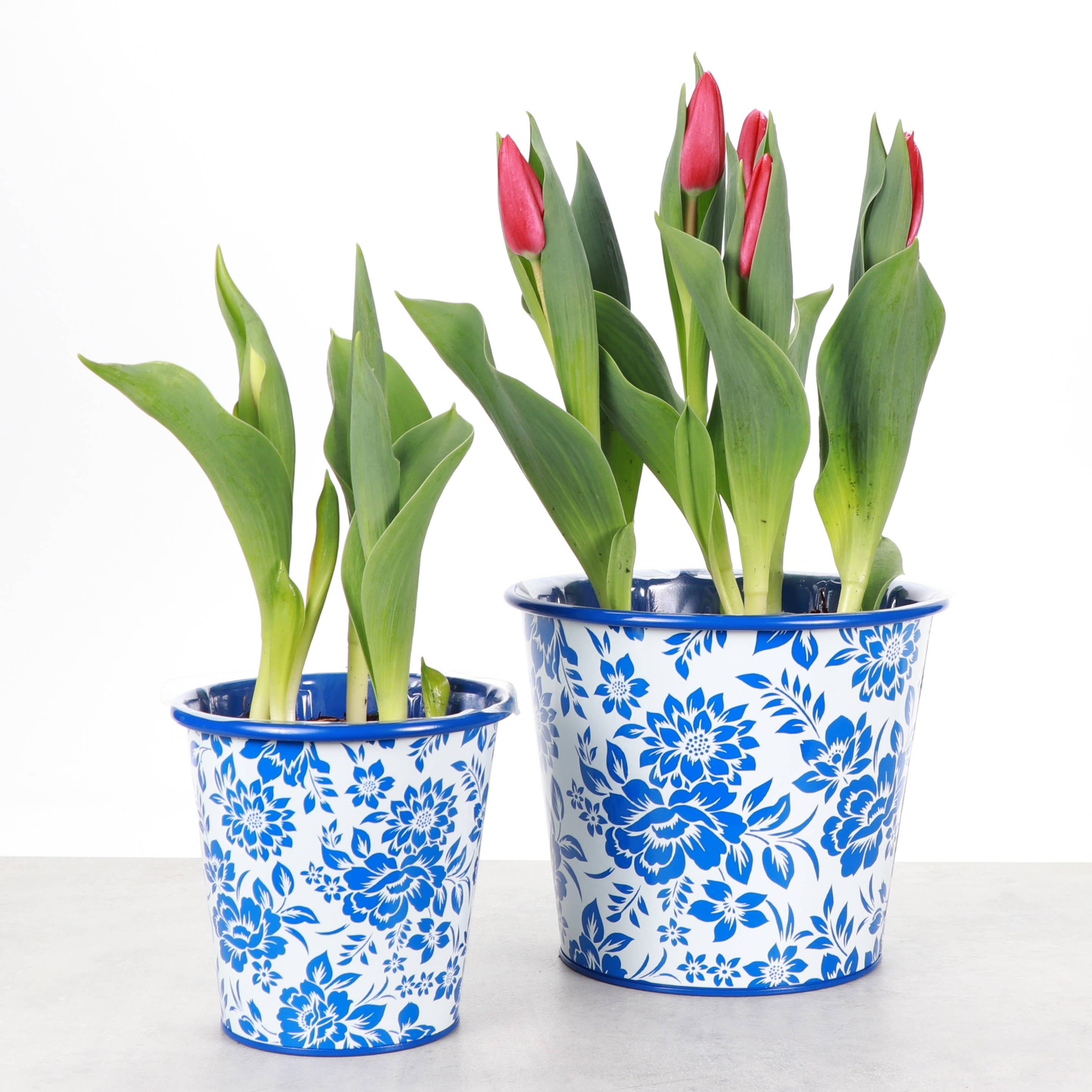 Delft Blue Design Metal Pot for Plants - 4" and 6" Options