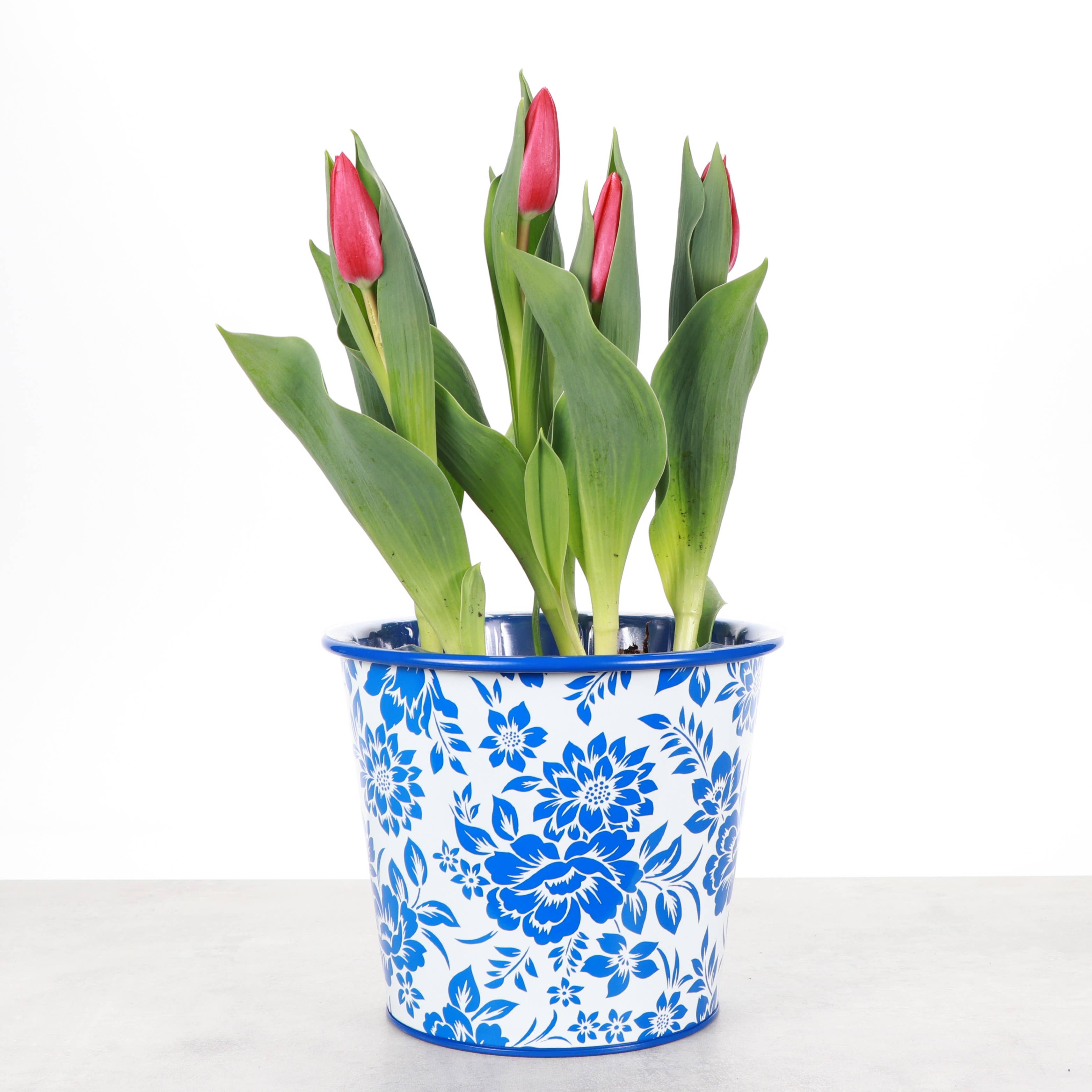 Delft Blue Design Metal Pot for Plants - 4" and 6" Options
