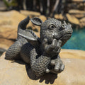 Garden Dragon Day Dreaming