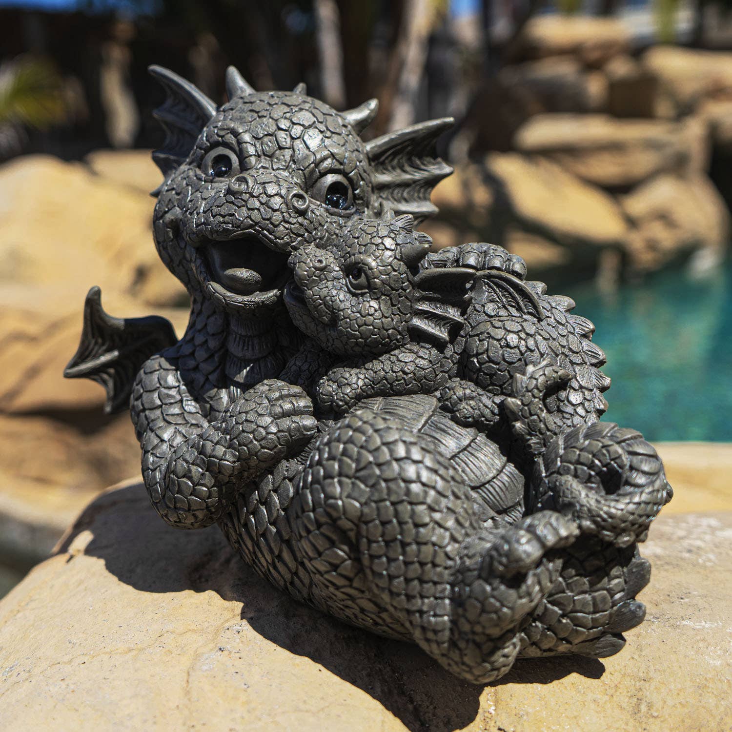 Garden Dragon Family