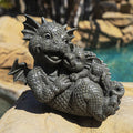 Garden Dragon Family