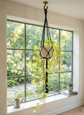 Macrame Plant Hanger