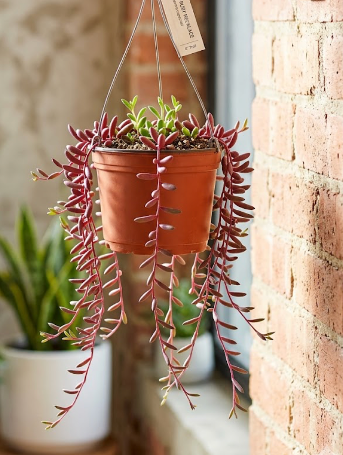 6" String of Ruby